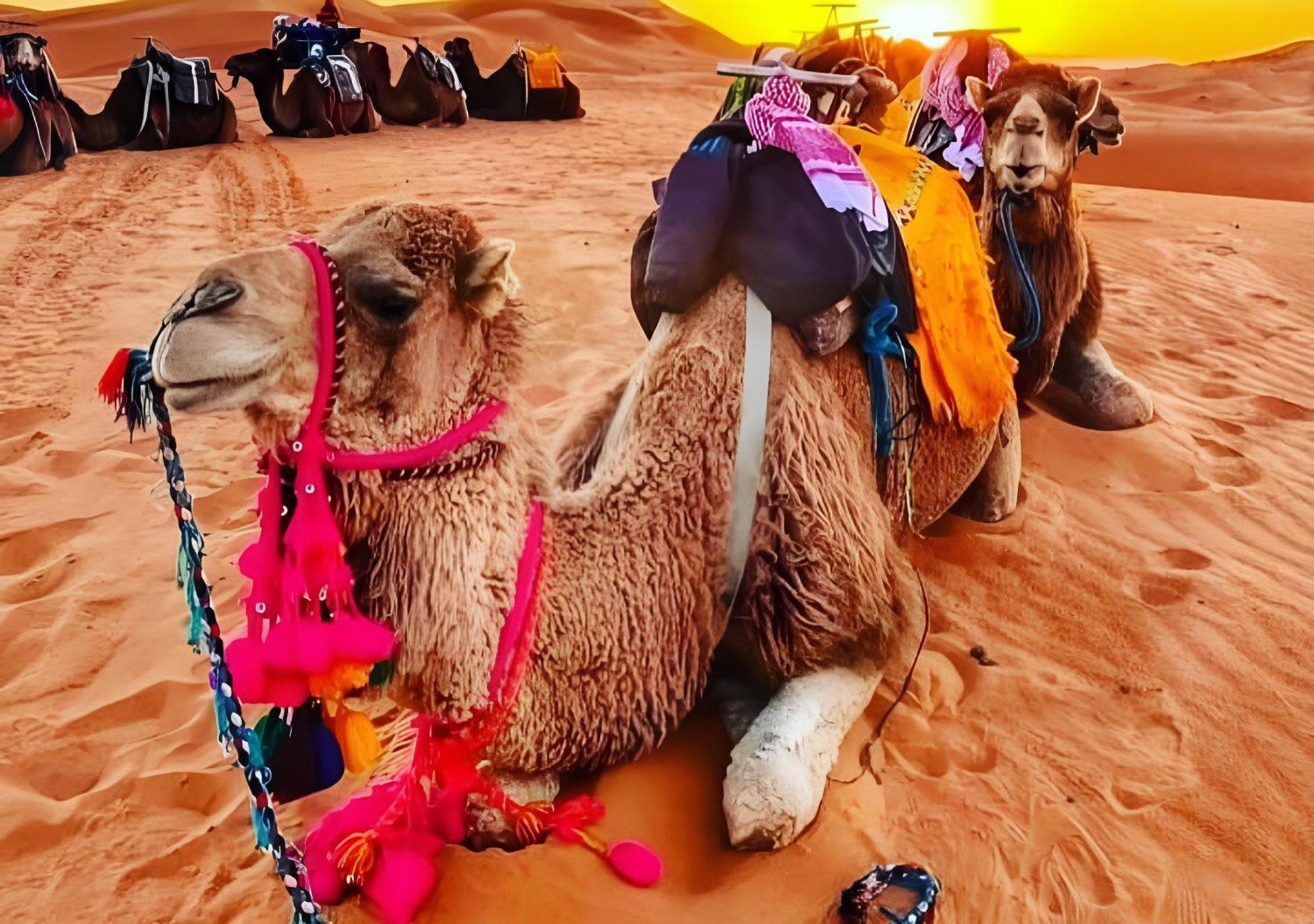 Merzouga Luxurious Tented Buitenkant foto